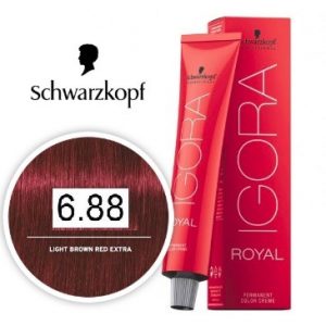 Dark Blonde Extra Red 6-88 Schwarzkopf Royal Igora Permanent Color