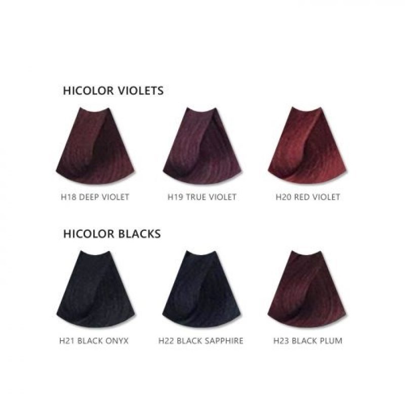 L'Oreal HiColor H21 Black Onyx Hair Dye For Dark Hair Only