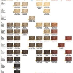 Clairol Professional Color Chart