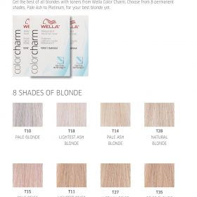 Platinum Blonde Hair Colour Using Wella Color Charm - Colourwarehouse