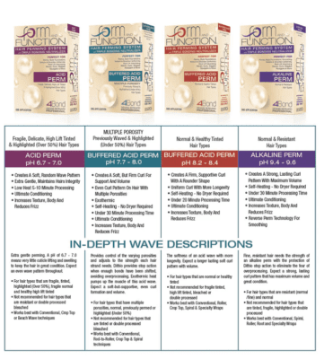Dennis Bernard Form and Function Hair Perming System