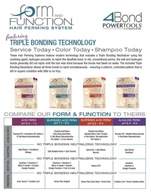 Dennis Bernard Form and Function Hair Perming System