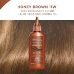 Clairol Beautiful Collection 11W Honey Brown Semi-Permanent Hair Colour