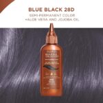 Clairol Beautiful Collection 28D Blue Black Semi-Permanent Hair Colour