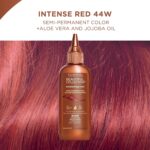 Clairol Beautiful Collection 44W Intense Red Semi-Permanent Hair Colour