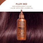 Clairol Beautiful Collection 56D Plum Semi-Permanent Hair Colour