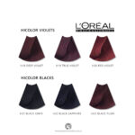 L’Oreal HiColor H21 Black Onyx Hair Colour For Dark Hair